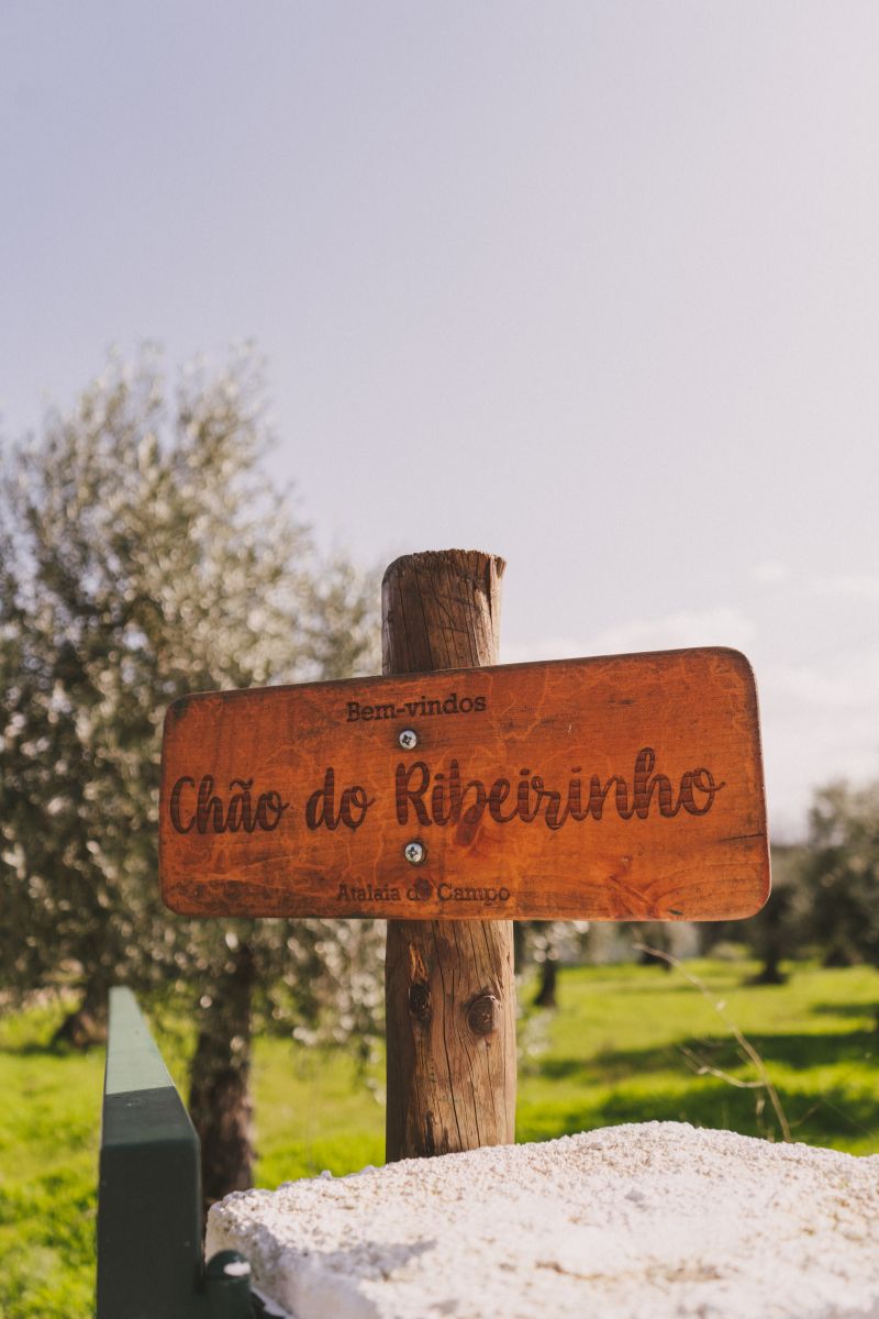 Caminho de pedra entre canteiros aromáticos